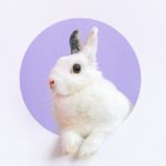 Thumbnail of post image 045