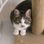 Thumbnail of post image 119